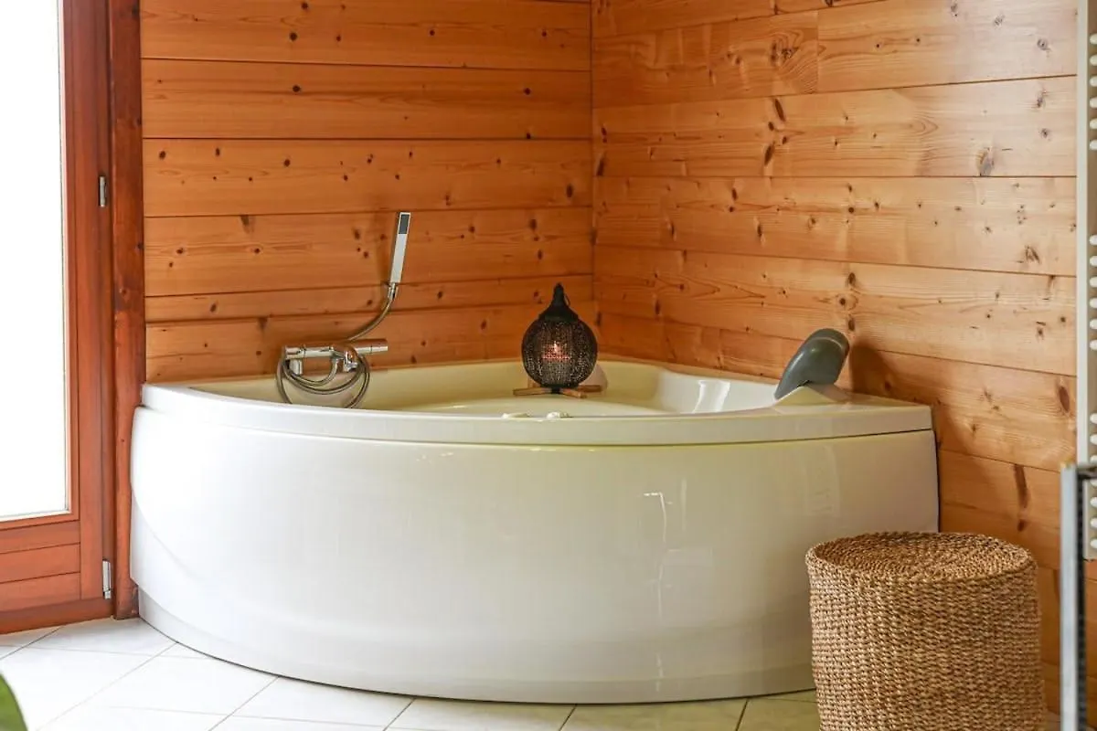 Magnifique Chalet Avec Piscine Et Salle De Sport Peyrieu