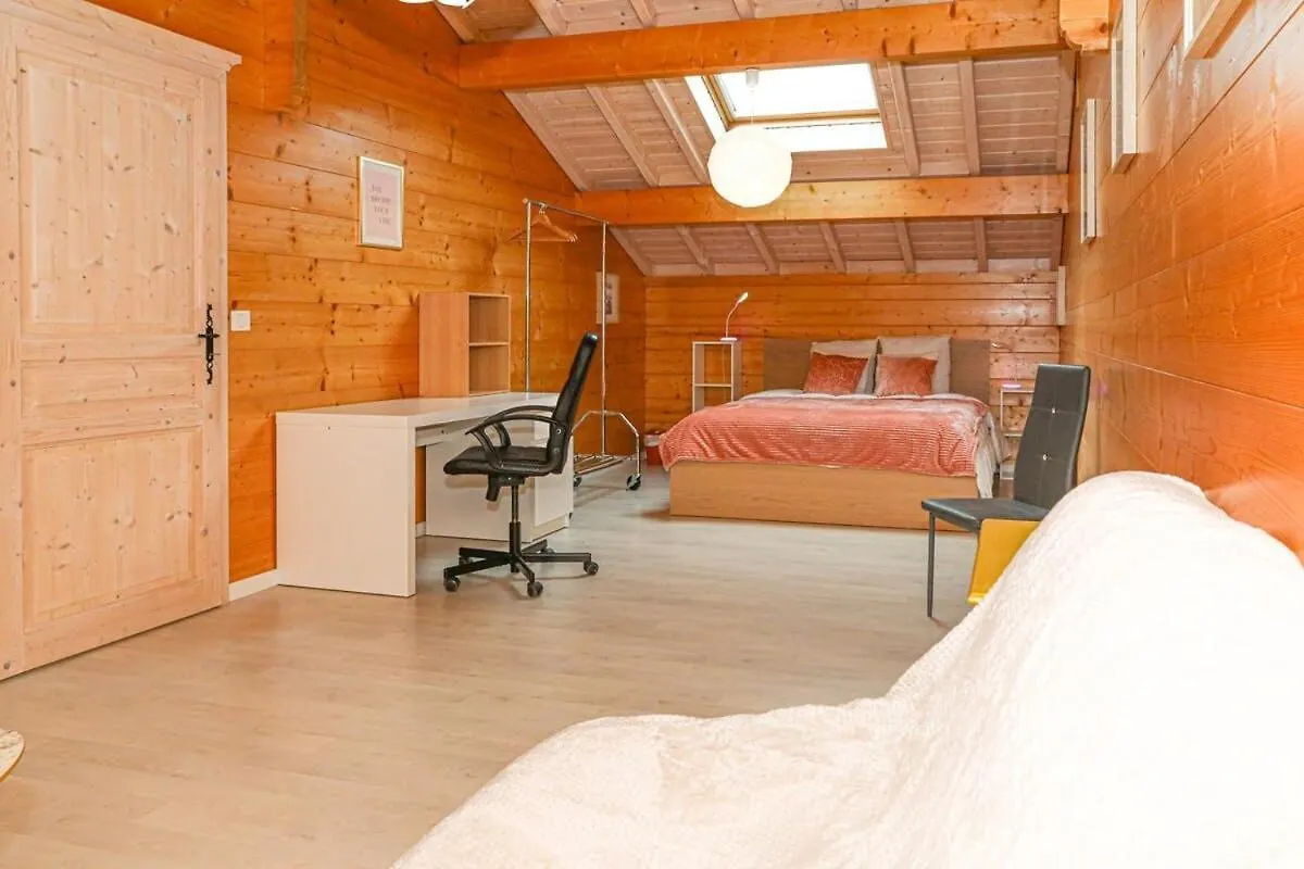Magnifique Chalet Avec Piscine Et Salle De Sport Peyrieu Villa