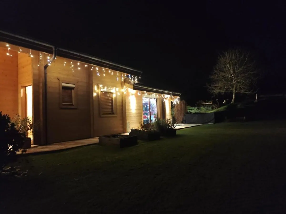 Magnifique Chalet Avec Piscine Et Salle De Sport Peyrieu France