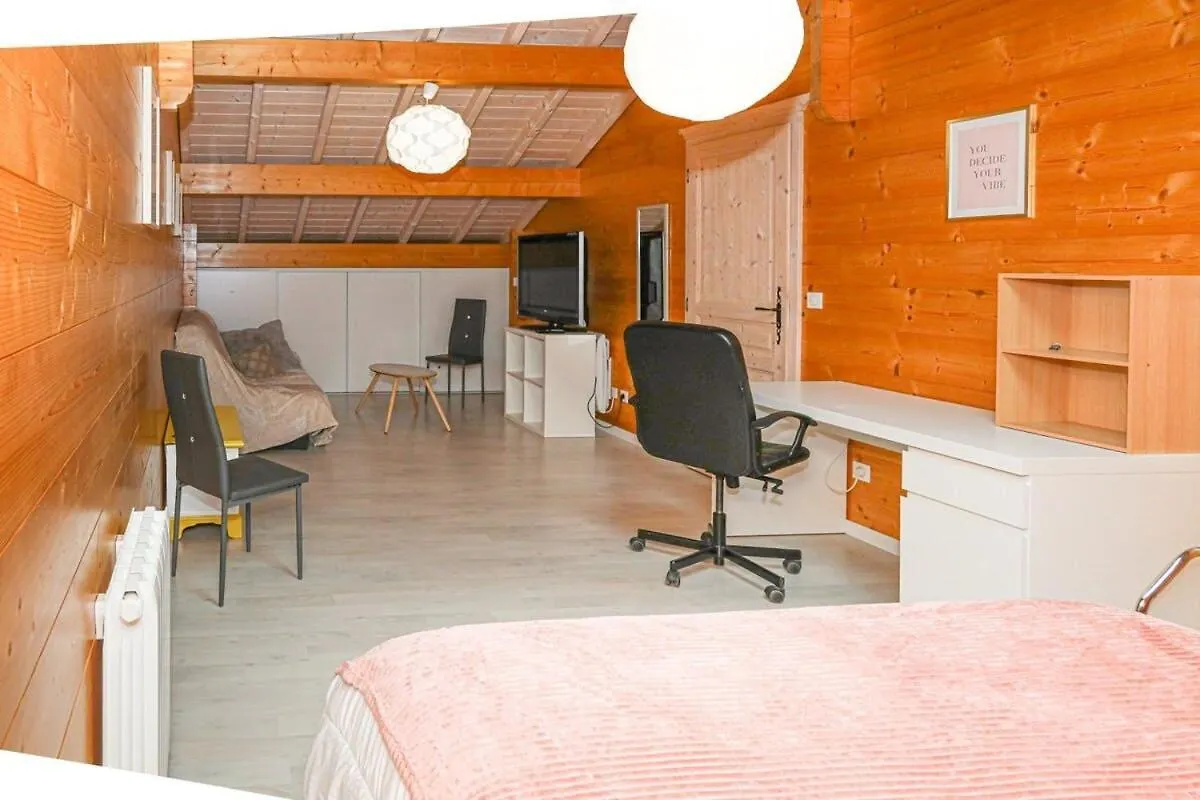 Villa Magnifique Chalet Avec Piscine Et Salle De Sport Peyrieu